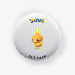 Torchic