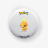 Torchic