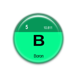 5 Boron