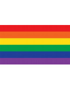 Chapa 38mm Orgullo LGBTQ+ - Pin o Imán